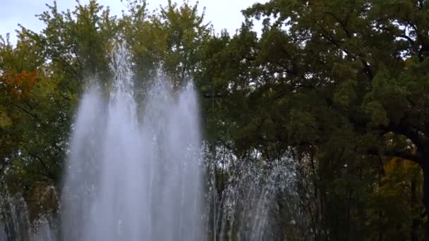 City fountain in summer time - Záběry, video