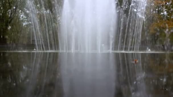 Kaupungin suihkulähde kesäaikaan
 - Materiaali, video