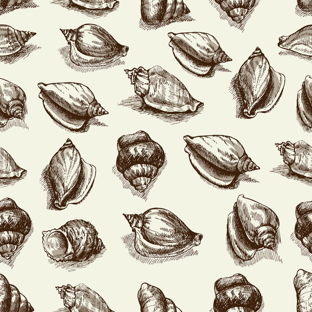 Vector seamless pattern sketch of seashells isolated on white background. Hand-drawn sea animals. - Vetor, Imagem