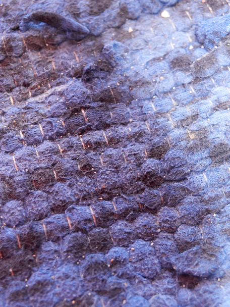 dirty old warm plaid texture, close-up  - Photo, Image