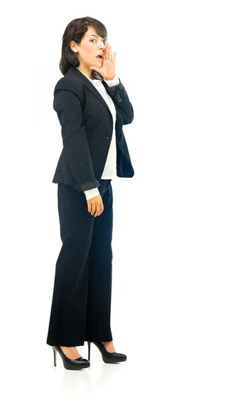 beautiful businesswoman talking - Фото, зображення