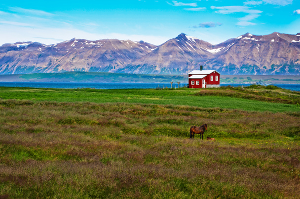 Island rotes Haus auf der Weide mit Pferd, Bergkulisse - Foto, Bild