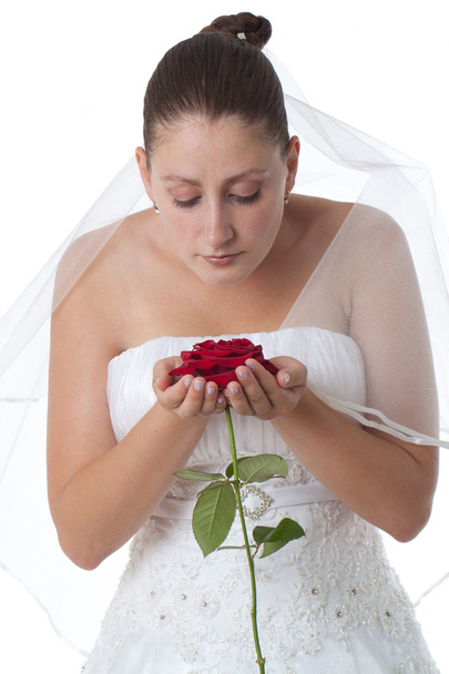 Mariée en blanc avec rose rouge
 - Photo, image