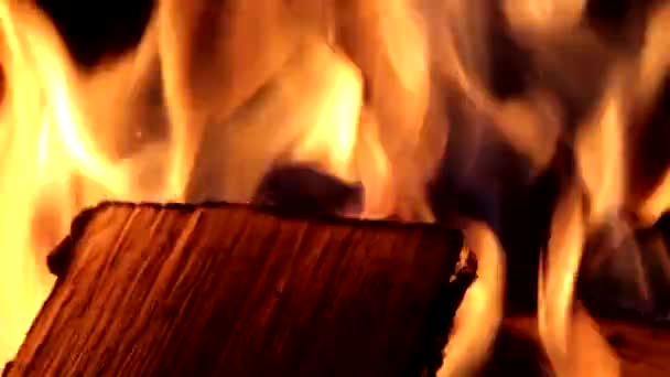 Elszenesedett tűzifa rönköket a máglya lángja táncol  - Felvétel, videó