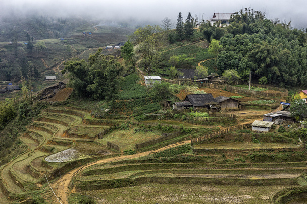 Village agricole dans les hauts plateaux du Vietnam
. - Photo, image