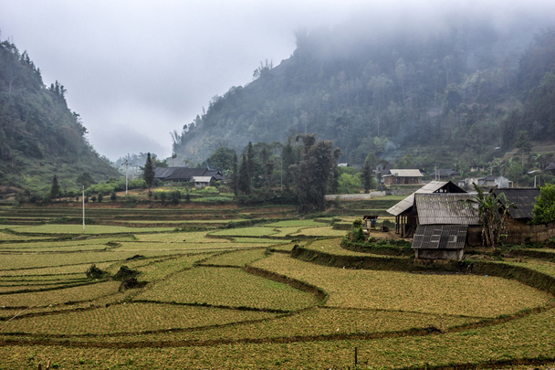 Paysage hivernal avec rizières dans les montagnes du Nord
. - Photo, image