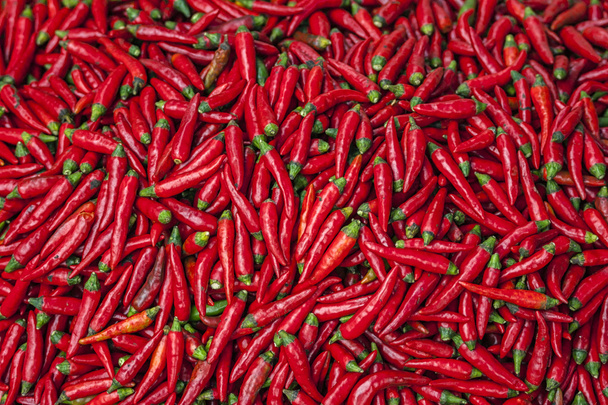 Vietnam Bac Ha: Pigmento rojo jalapeño picante chiles
 - Foto, Imagen
