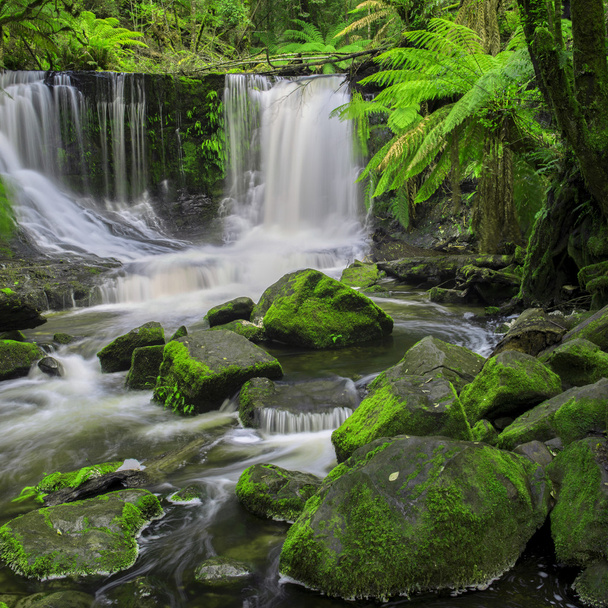 Horseshoe Falls Mount alan Milli Parkı'nda. - Fotoğraf, Görsel