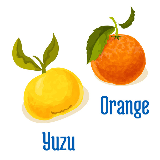 Naranja y yuzu frutas vector iconos
 - Vector, imagen