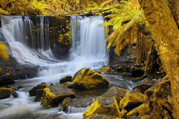 Horseshoe Falls w Parku Narodowego Mount pola. - Zdjęcie, obraz