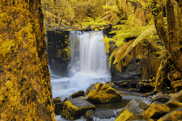 Cataratas de herradura en el Parque Nacional Mount Field
 - Foto, imagen