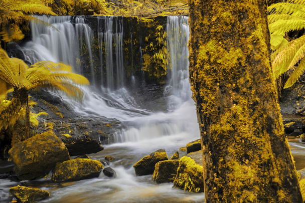 Horseshoe Falls in Mount Field National Park - Photo, Image