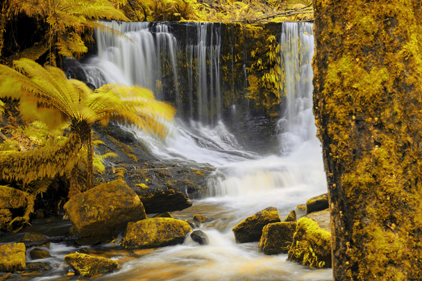 Водопад Подкова в Маунт-Филд
 - Фото, изображение