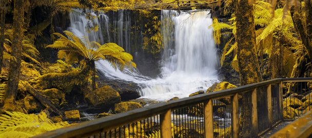 Водопад Подкова в Маунт-Филд
. - Фото, изображение