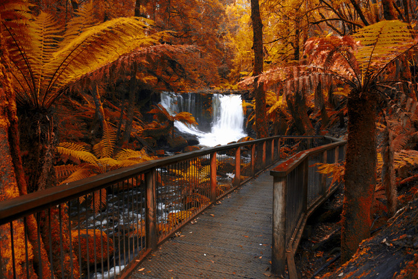 Horseshoe Falls in het Nationaal Park Mount veld. - Foto, afbeelding