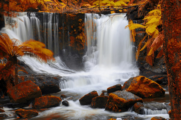 Horseshoe Falls w Parku Narodowego Mount pola - Zdjęcie, obraz