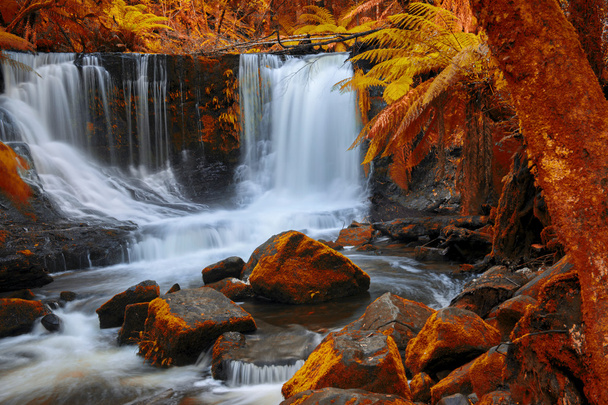 Horseshoe Falls in het Nationaal Park Mount veld. - Foto, afbeelding