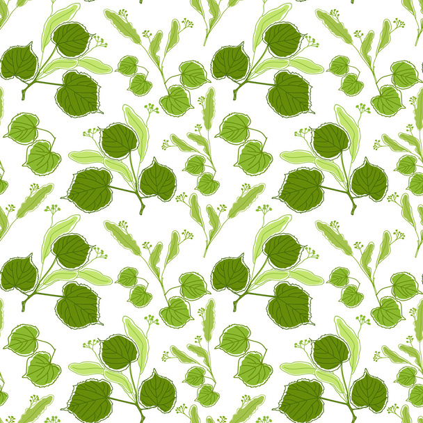 seamless pattern with branches, leaves and flowers of linden tree on a white background - Вектор, зображення