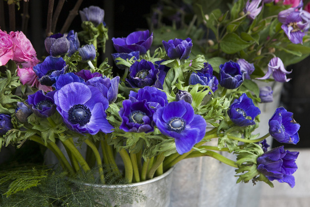 Red and blue spring flower arrangement: anemones, ranoncullus and - Valokuva, kuva