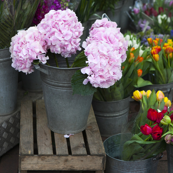 pink hydrangea in a can on a wooden box near the flower shop - Photo, image