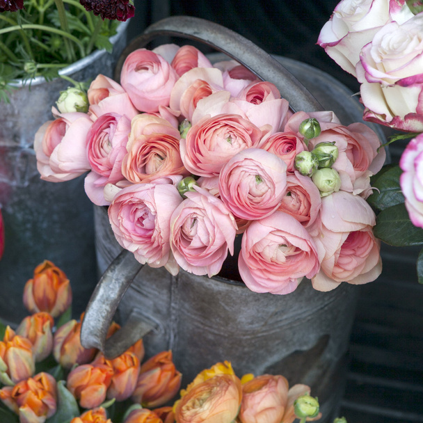 Bouquet of pink ranunculus - Foto, imagen