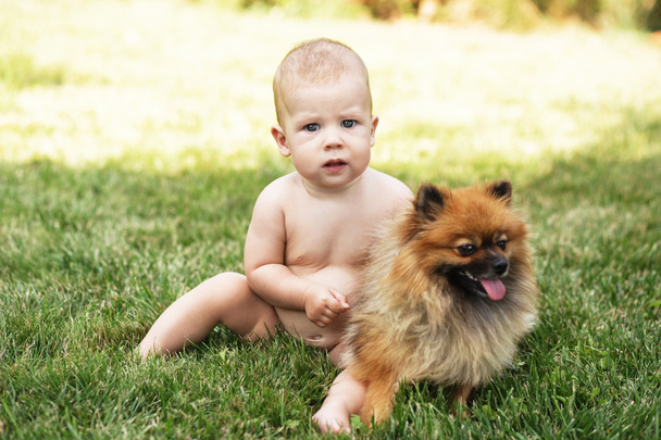 Kid and puppy on the green grass outdoors.  - Foto, Imagen