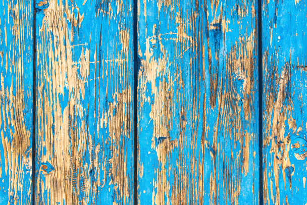 Rustic weathered planks with blue paint peeling off - Fotoğraf, Görsel