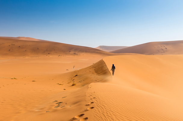 namib desert, sossusvlei - Fotó, kép