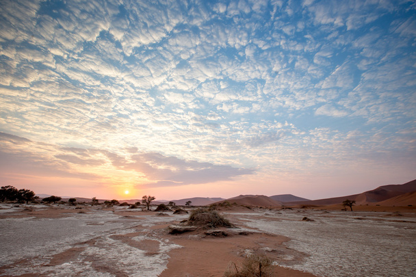 Deserto do Namib Sossusvlei lago salgado
 - Foto, Imagem