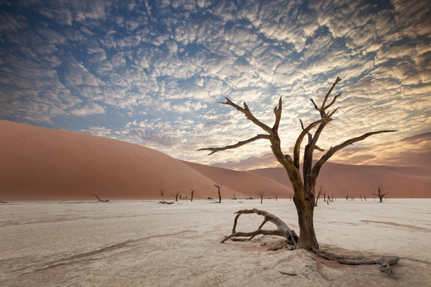 Namibská poušť Sossusvlei Slané jezero - Fotografie, Obrázek