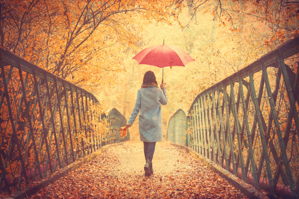 girl with umbrella in autumn park  - Photo, Image