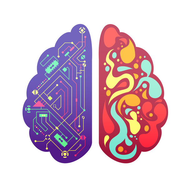 Pravé levé části mozku symbolické barevný obrázek  - Vektor, obrázek