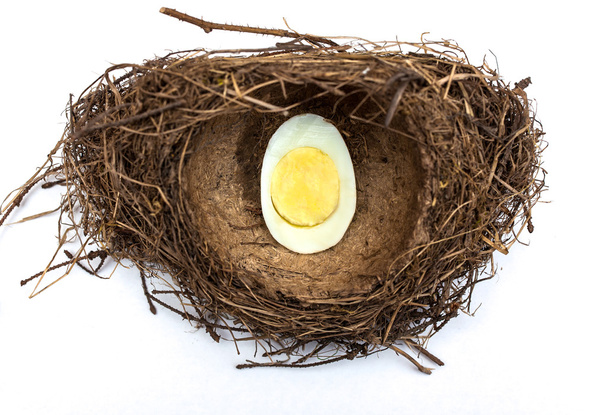 Hnízdo s vařeným vejcem. - Fotografie, Obrázek