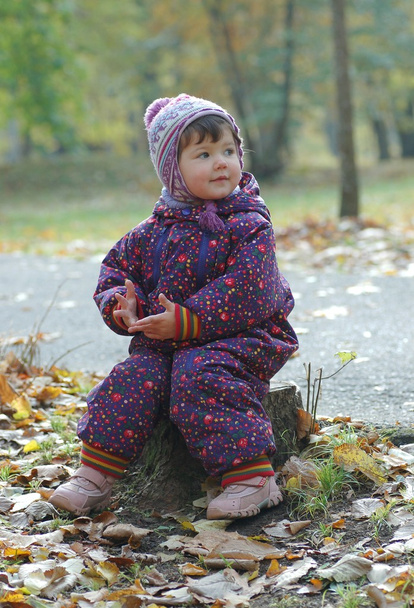 Portrait of baby in autumn park - Foto, imagen