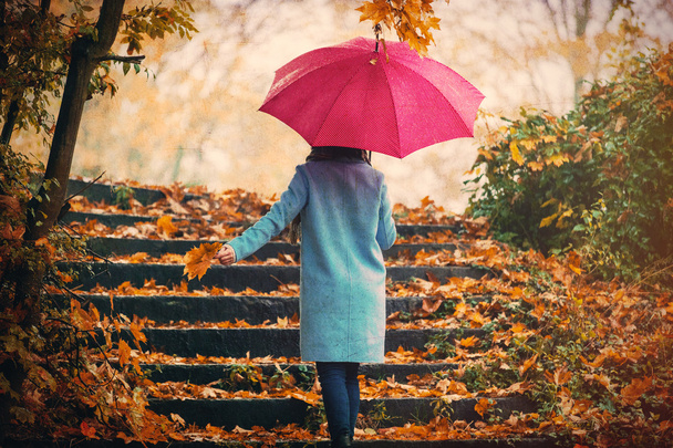 девушка с зонтиком в осеннем парке
  - Фото, изображение