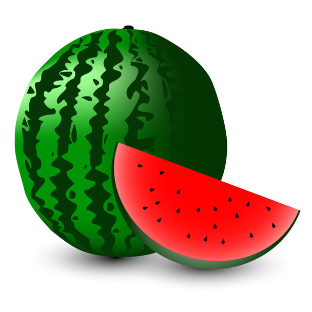 Zelený meloun s řezem - Vektor, obrázek