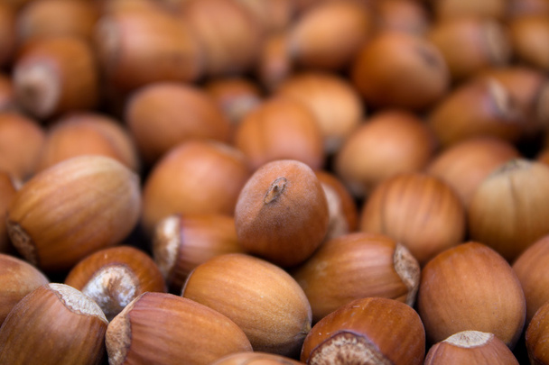 Many peeled hazel nuts - background of nature - Photo, Image