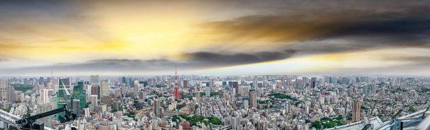 Tokyo, Japonya. Hava şehir manzaralı alacakaranlıkta - Fotoğraf, Görsel