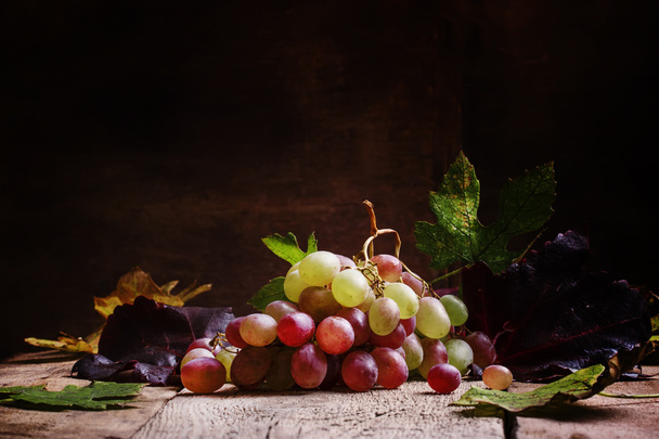 Autumn pink wine grape - Zdjęcie, obraz