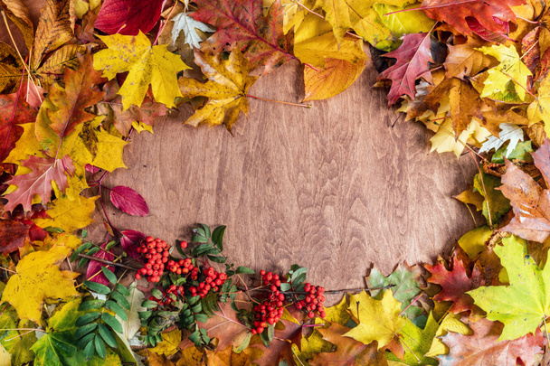Marco hecho de hojas de otoño
  - Foto, imagen