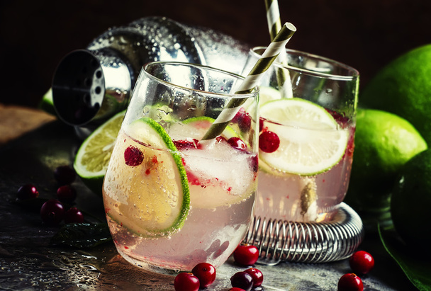 Lemonade with lemon, cranberries, sugar syrup and ice  - Foto, afbeelding