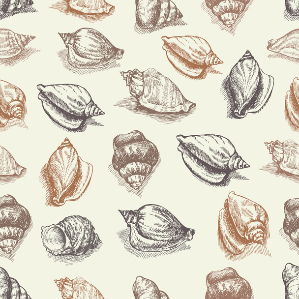 Vector seamless pattern sketch of seashells isolated on white background. Hand-drawn sea animals. - Vector, Imagen