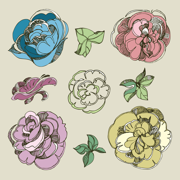 Rose flowers - Vector, afbeelding