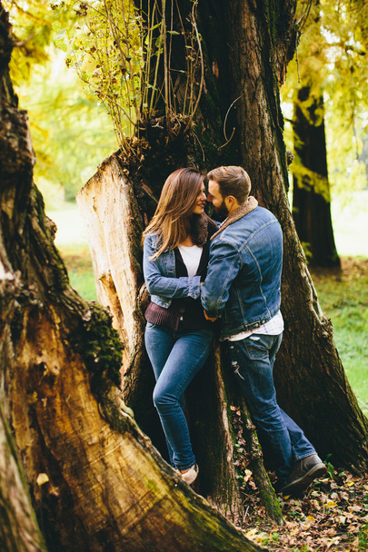 Loving couple in the autumn park - Photo, Image