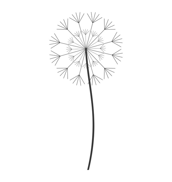 dandelion seed decoration icon - Vektor, obrázek
