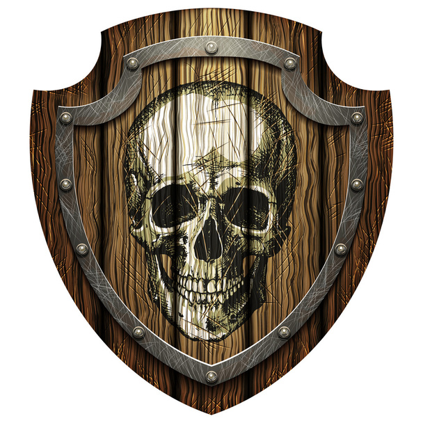 Oak shield with skull and metal studs - Vector, Image