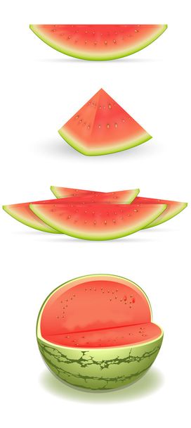 Wassermelonenvektoren - Vektor, Bild