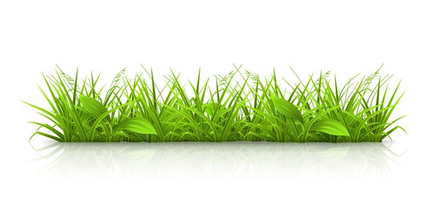 Трава, вектор
 - Вектор,изображение