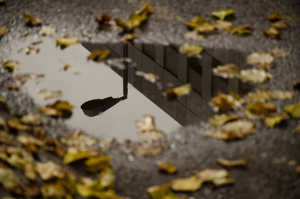 Opadłych liści przez kałuży w mieście - Zdjęcie, obraz