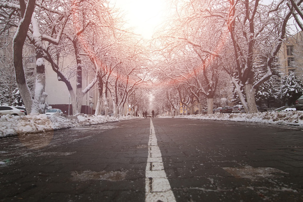 Πεζοπορική διαδρομή δέντρο χειμώνα - Φωτογραφία, εικόνα